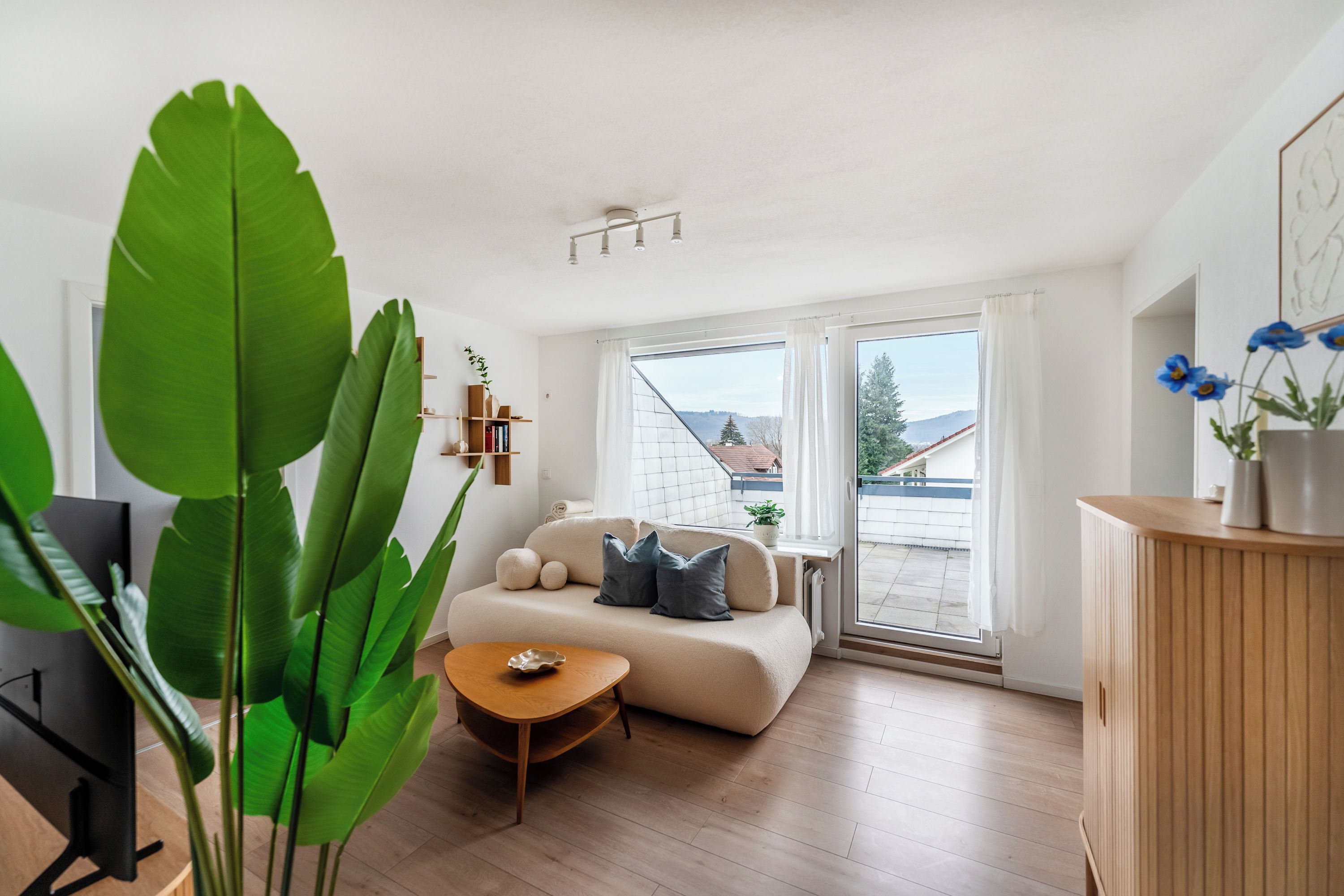 A modern living room with a sofa, a coffee table, and a large green plant.