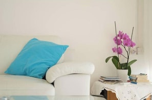 Living area - Mourayio ''Afros'' (Paphos)