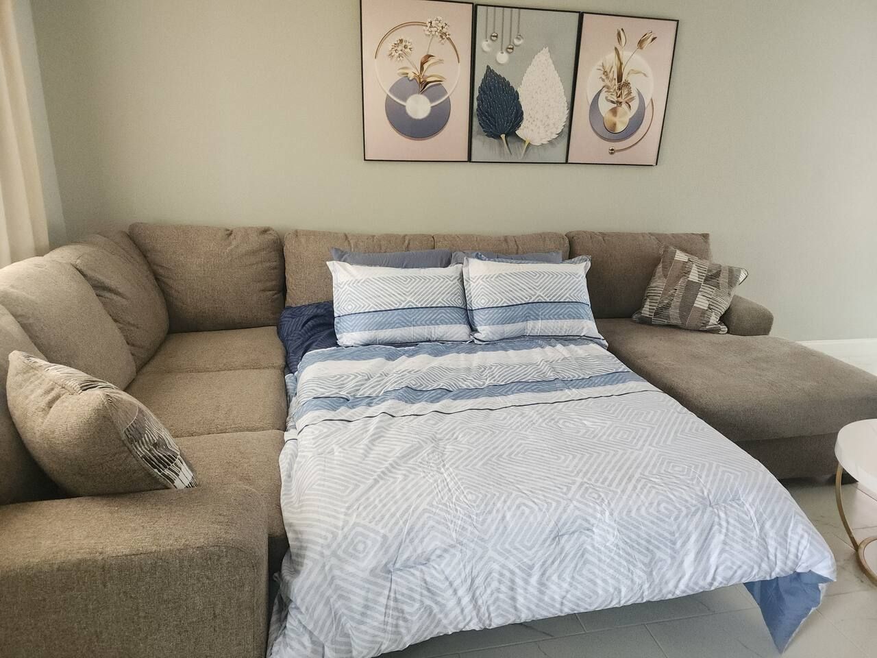 A living room with a sofa bed, a patterned throw blanket, and wall art.
