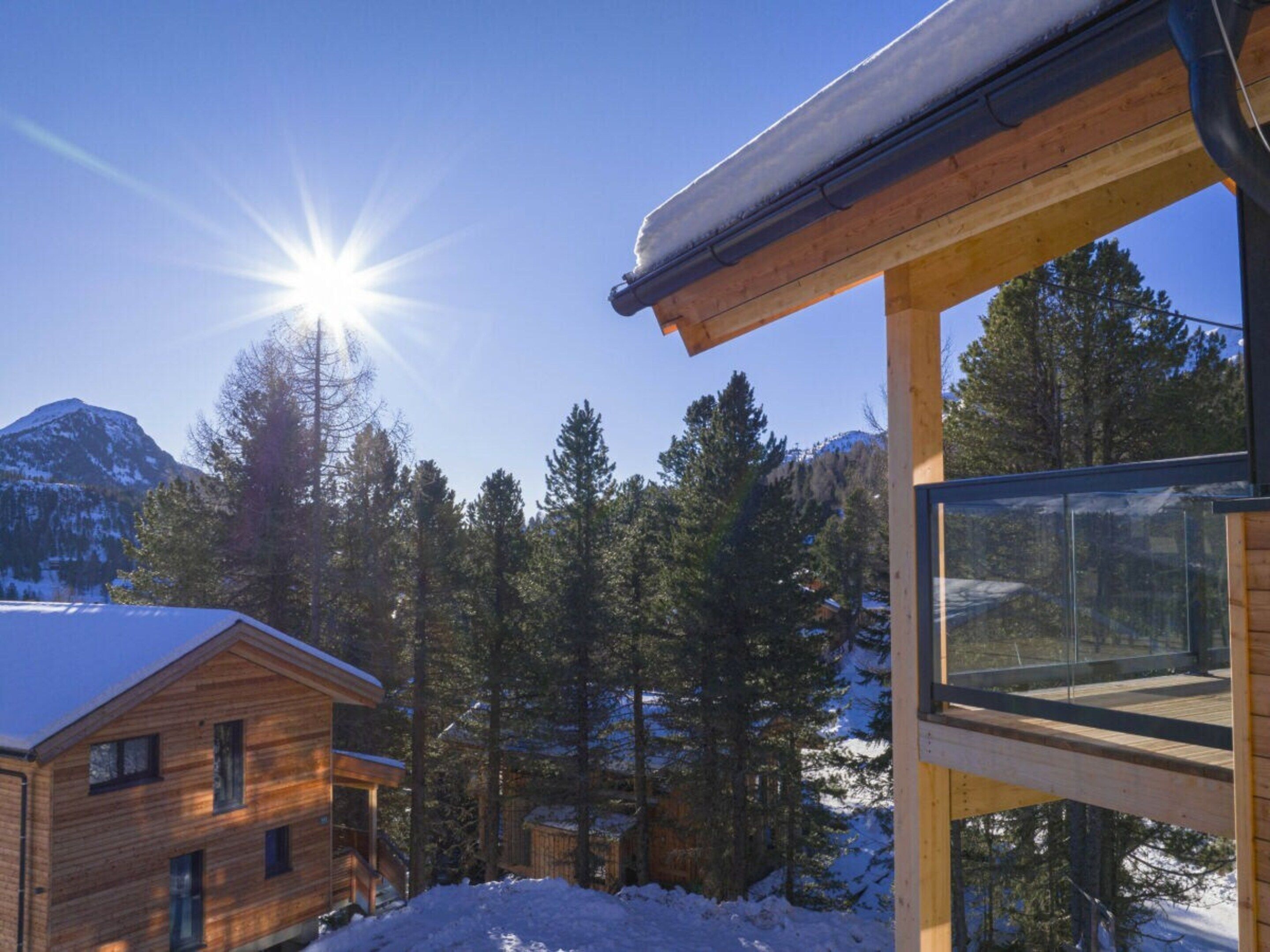 Une cabane en bois dotée d’une structure en verre, entourée d’un paysage enneigé et de grands pins, sous un ciel dégagé.