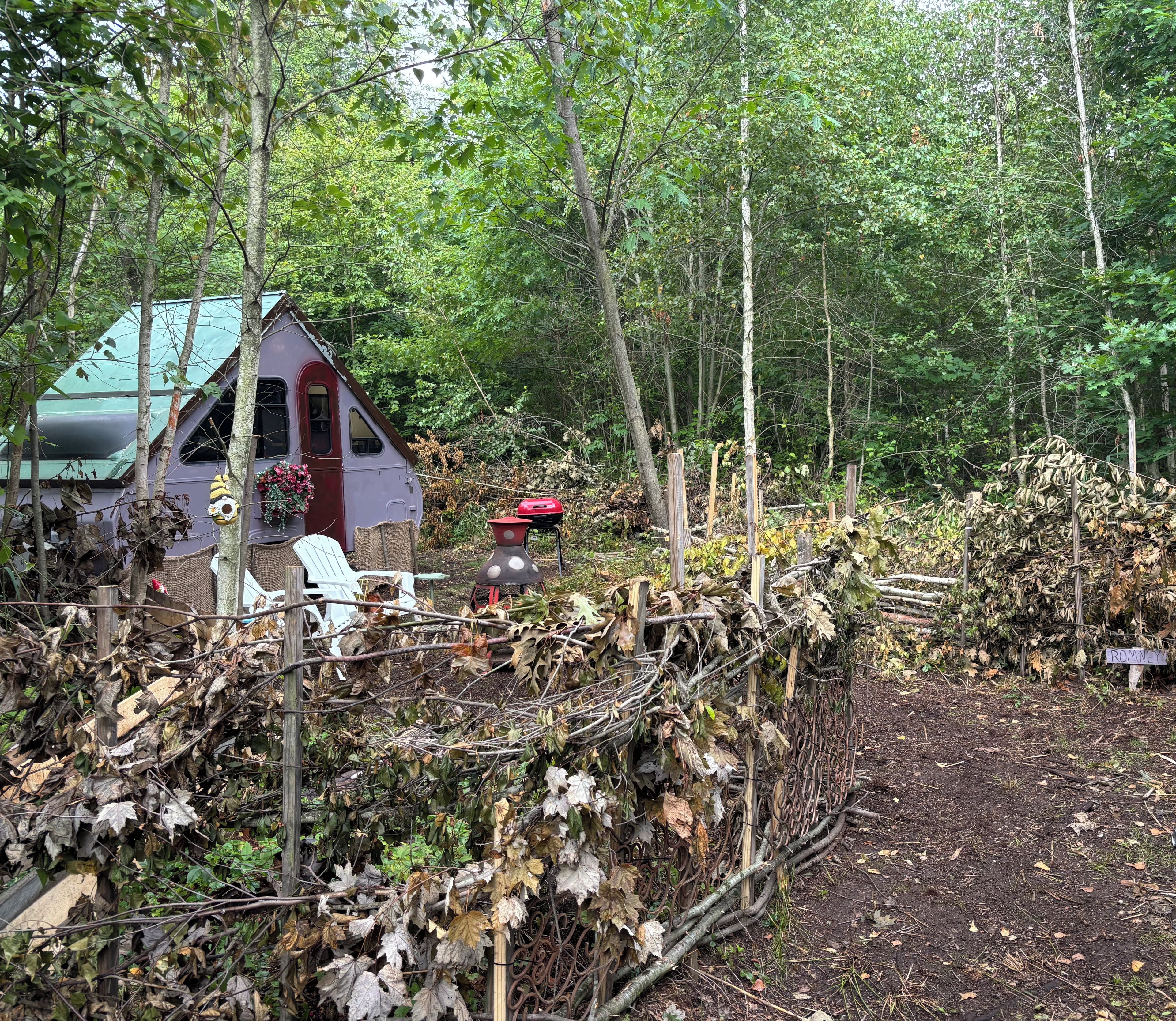 Un chalet rustique avec un toit végétalisé, entouré d’une forêt dense.