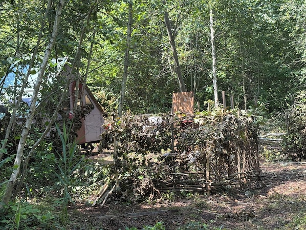 A wooded area with a small structure surrounded by dense foliage. - BBHideaway-Romney (Geneva)