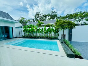 A modern swimming pool with a clear blue water surface, surrounded by a white wall and lush green plants.