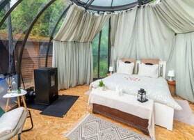 Un dormitorio con cama, mesitas de noche, televisión y vistas a través de un techo de cristal.
