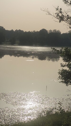 A calm body of water with reflections, surrounded by trees and vegetation. - LE CLOS DES VOYAGEURS Bed and Breakfast ALL THE COMFORTS (Saint-Christophe-de-Double)