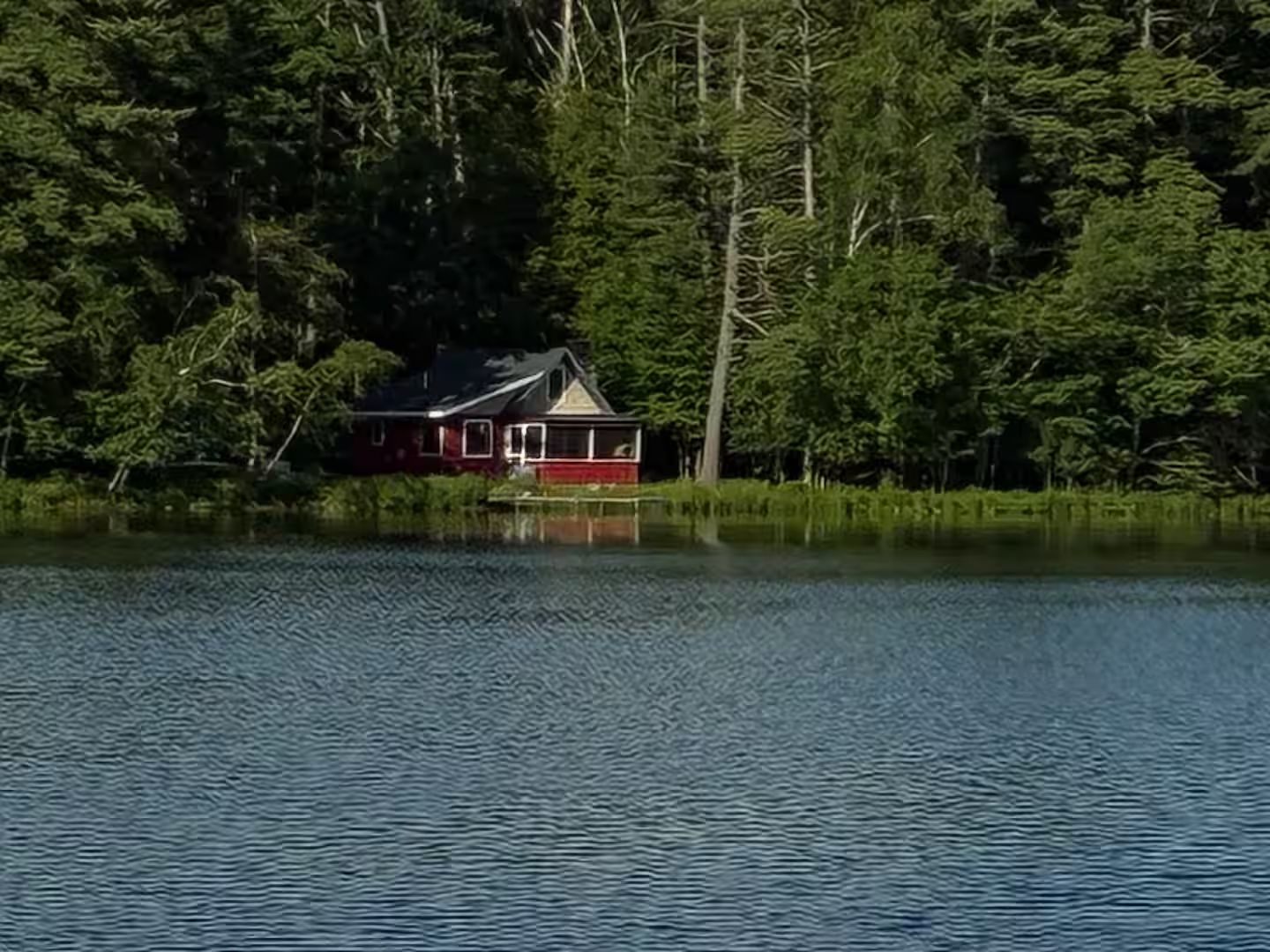 A cabin by a lake surrounded by dense forest.