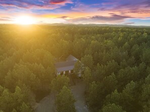 Et hus omgivet af tæt skov under en klar himmel.
