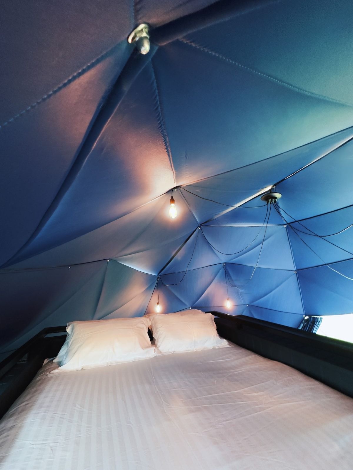 WiFi, bed sheets