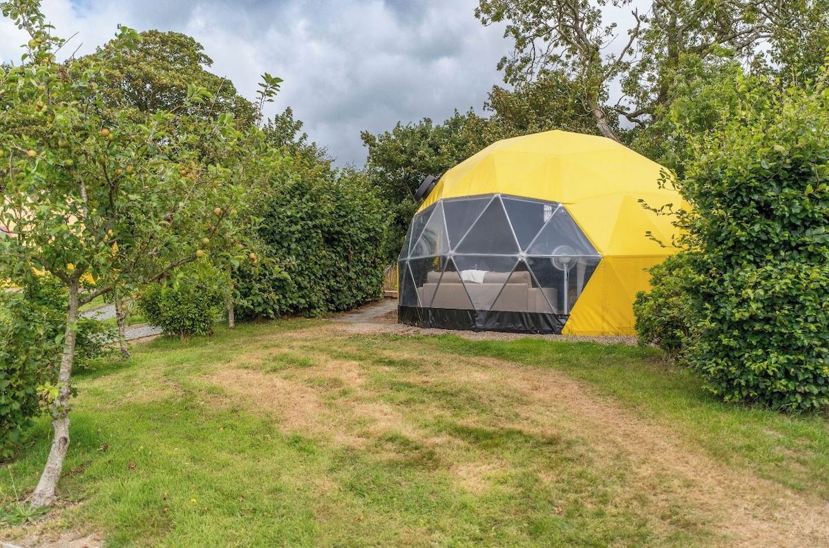 Una tienda en forma de domo geodésico con techo transparente, rodeada de un área cubierta de césped y vegetación densa.