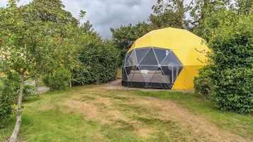 Una tienda en forma de domo geodésico con techo transparente, rodeada de un área cubierta de césped y vegetación densa.