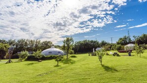 Et græsklædt område udendørs med en kuppelformet bygning, et picnicbord og et lille træ.