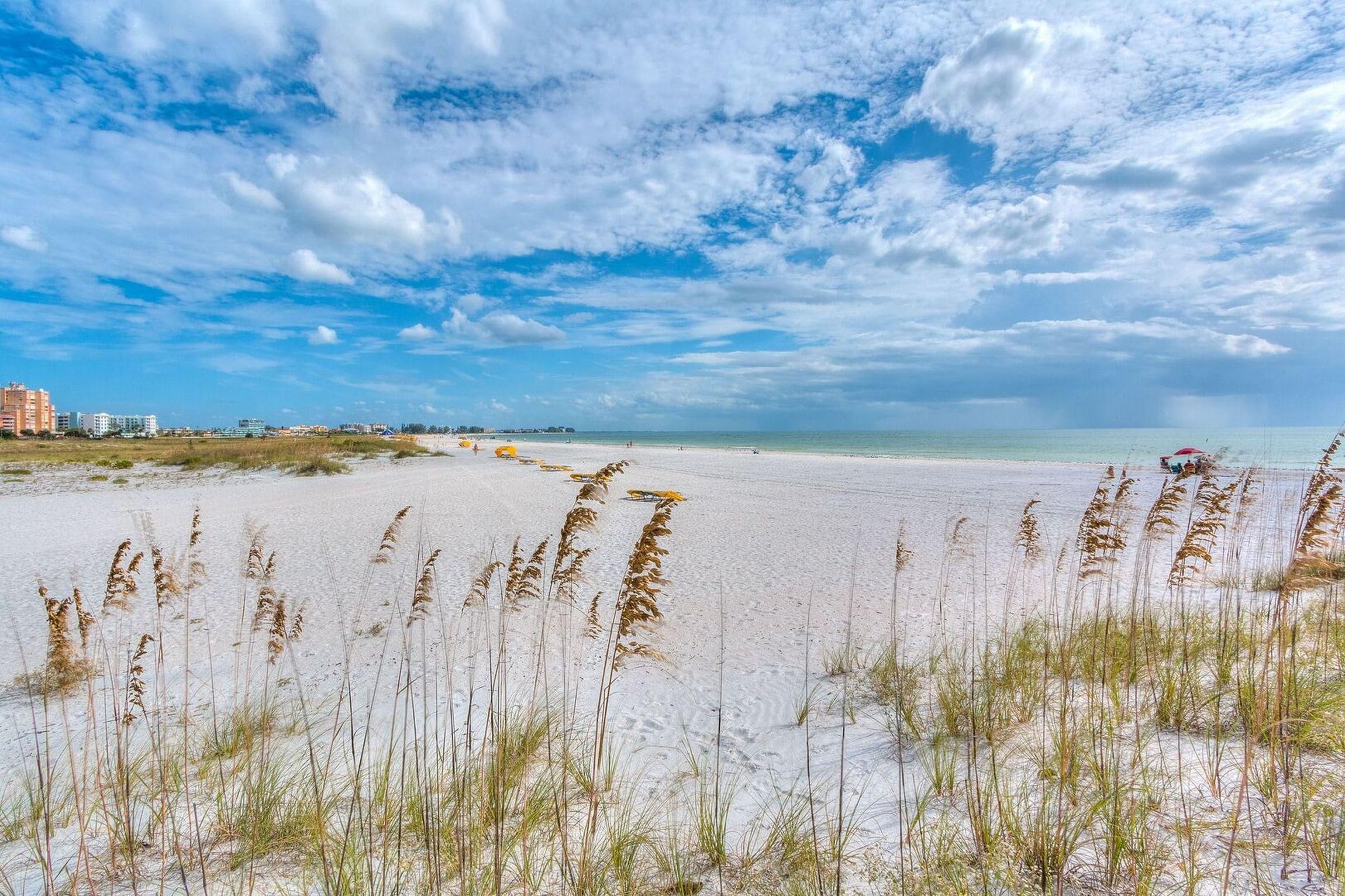 A beach with sand dunes and sparse vegetation, a clear sky, and distant buildings.