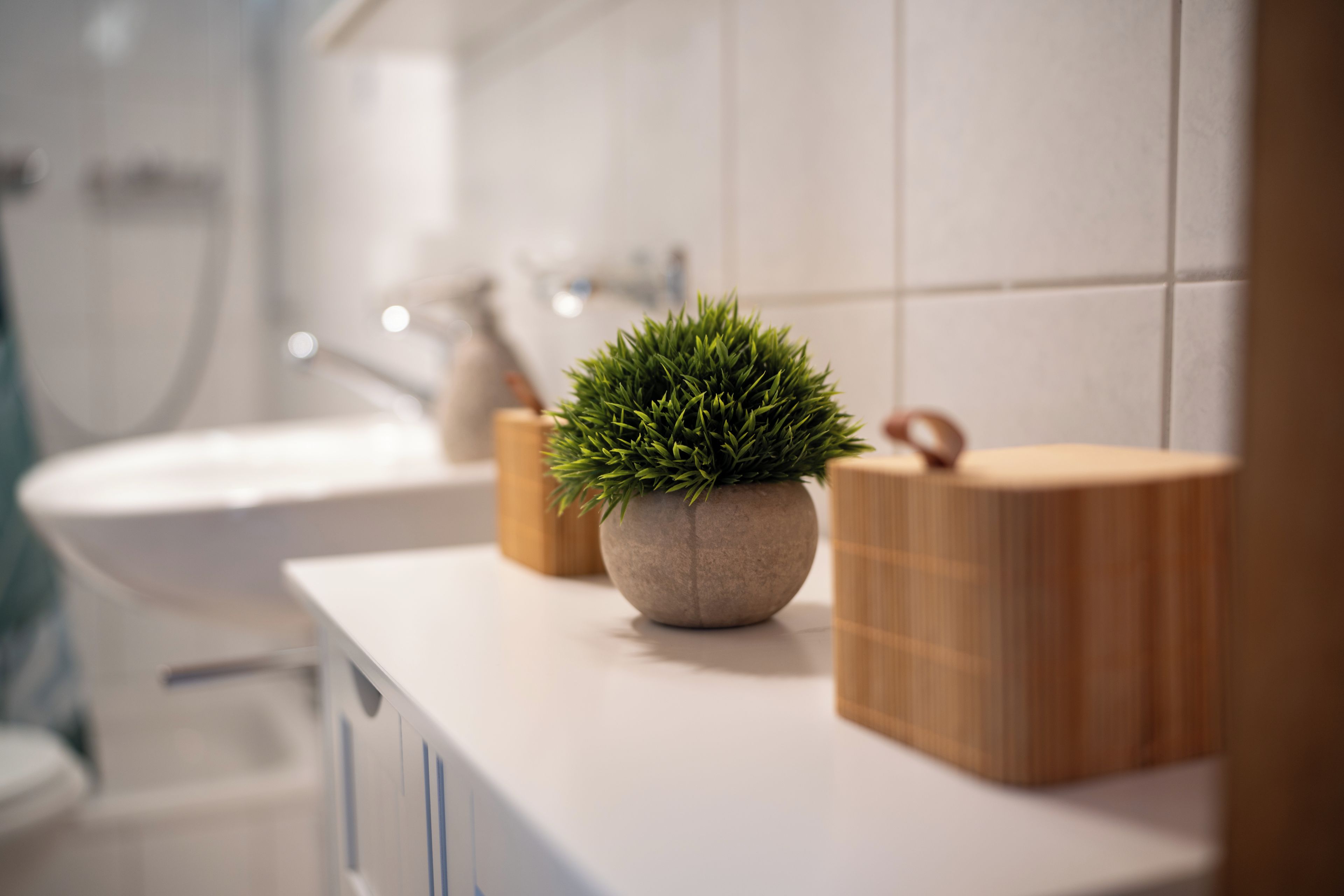 Une salle de bain avec un lavabo blanc, une plante en pot et des boîtes de rangement en bois.