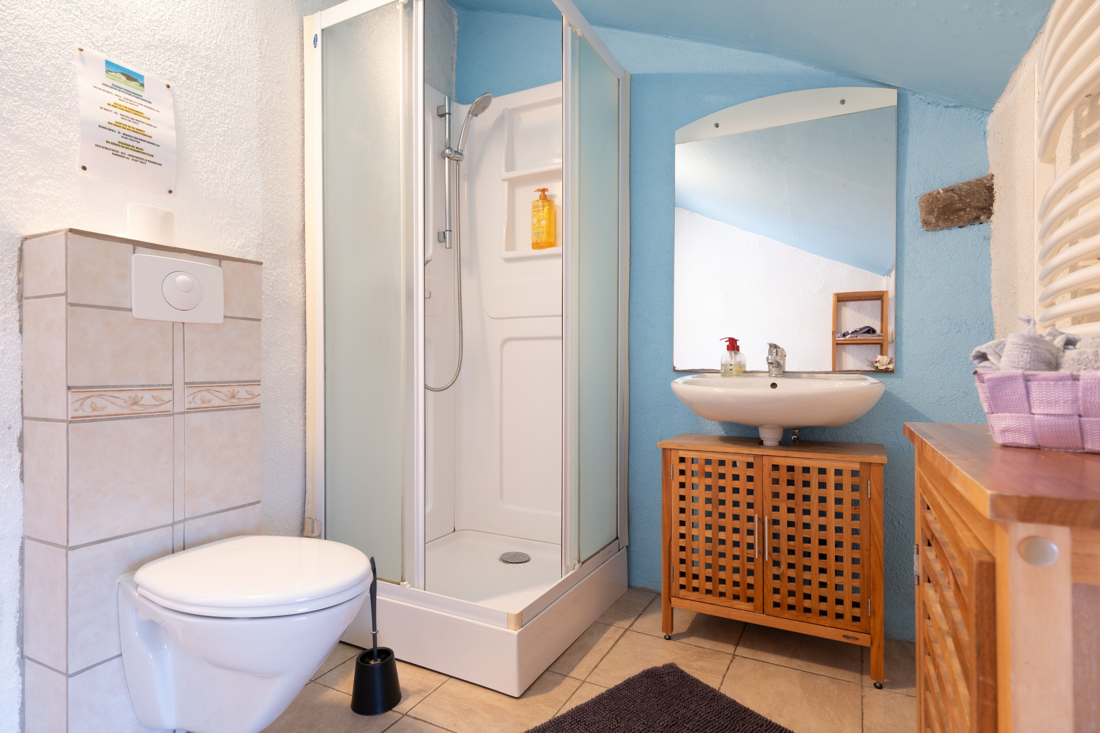 Un baño con inodoro, ducha, lavamanos y espejo.
