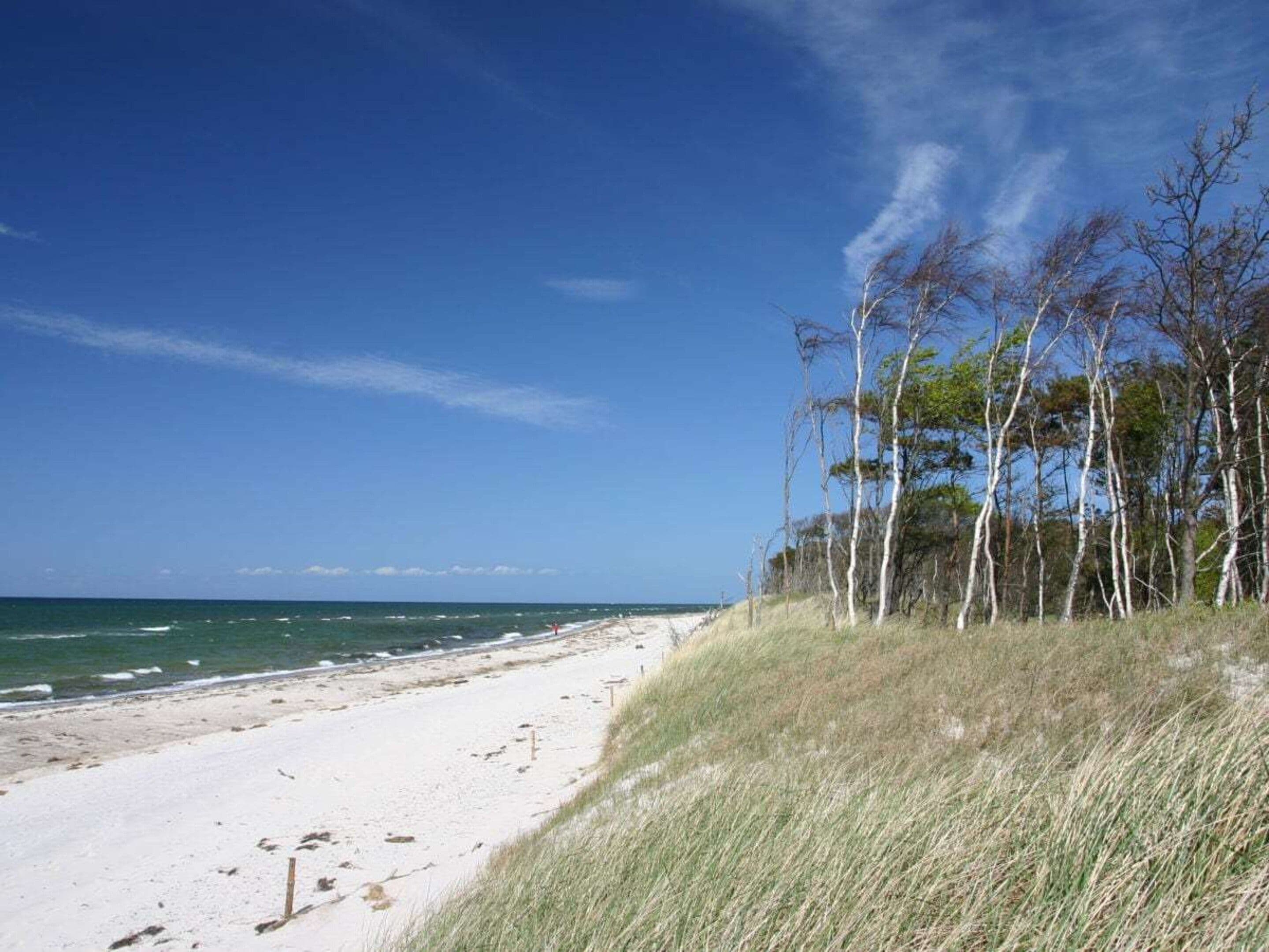 En strand med hvidt sand og en klar blå himmel.