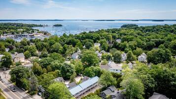 A residential area with houses surrounded by dense greenery, a road, and a body of water in the background.