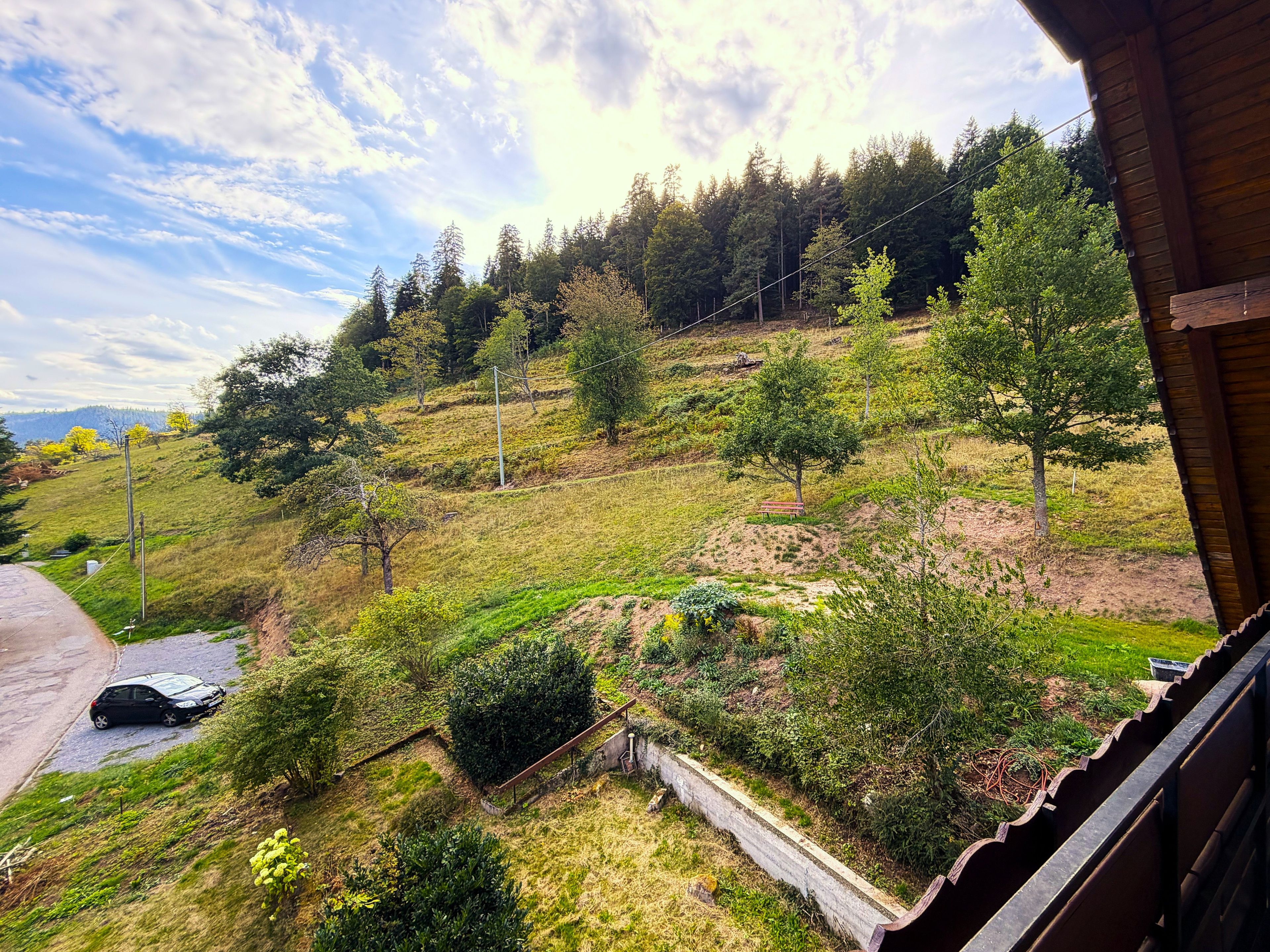 Vista di un pendio con alberi e una struttura in legno.
