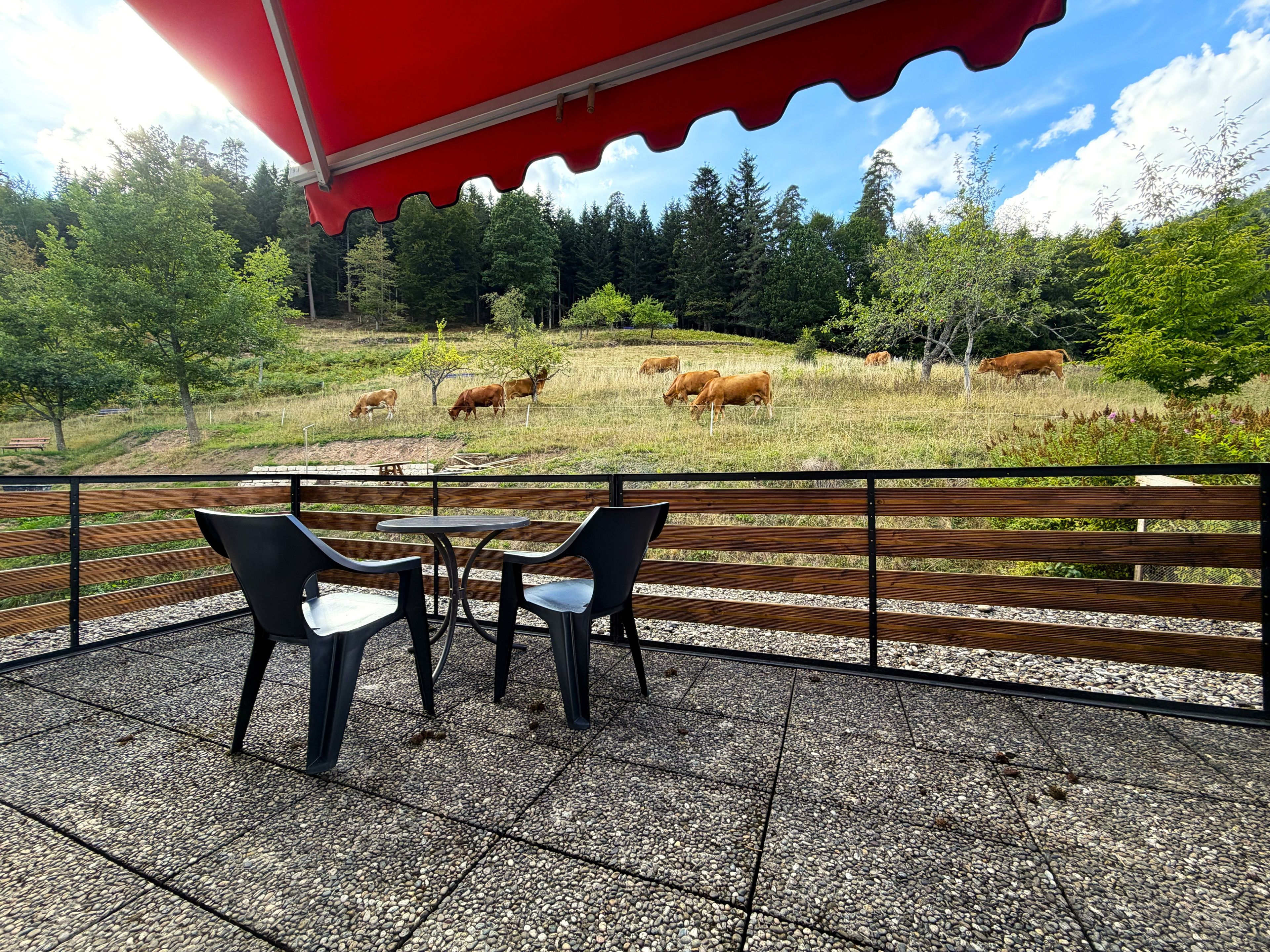 An outdoor seating area with tables and chairs, overlooking a grassy field with cows.