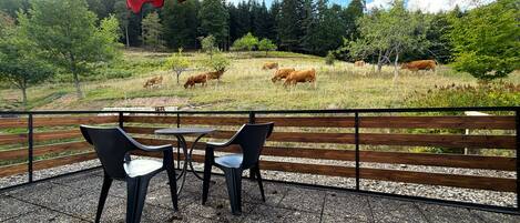 An outdoor seating area with tables and chairs, overlooking a grassy field with cows.