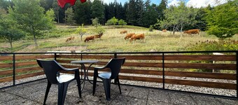 "Waldruhe" Vacation Home – Group House in the Blueberry Village of Enzklösterle<br>Welcome to the "Waldruhe" vacation home in the idyllic Blueberry Village of Enzklösterle in the Black Forest. Our house is in a quiet location right on the edge of the fore