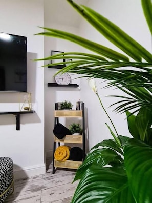 A room with a flat-screen TV, a clock, a rattan shelf with items, and a large green plant. - Modern 1 Bedroom flat in City center (Leicester)
