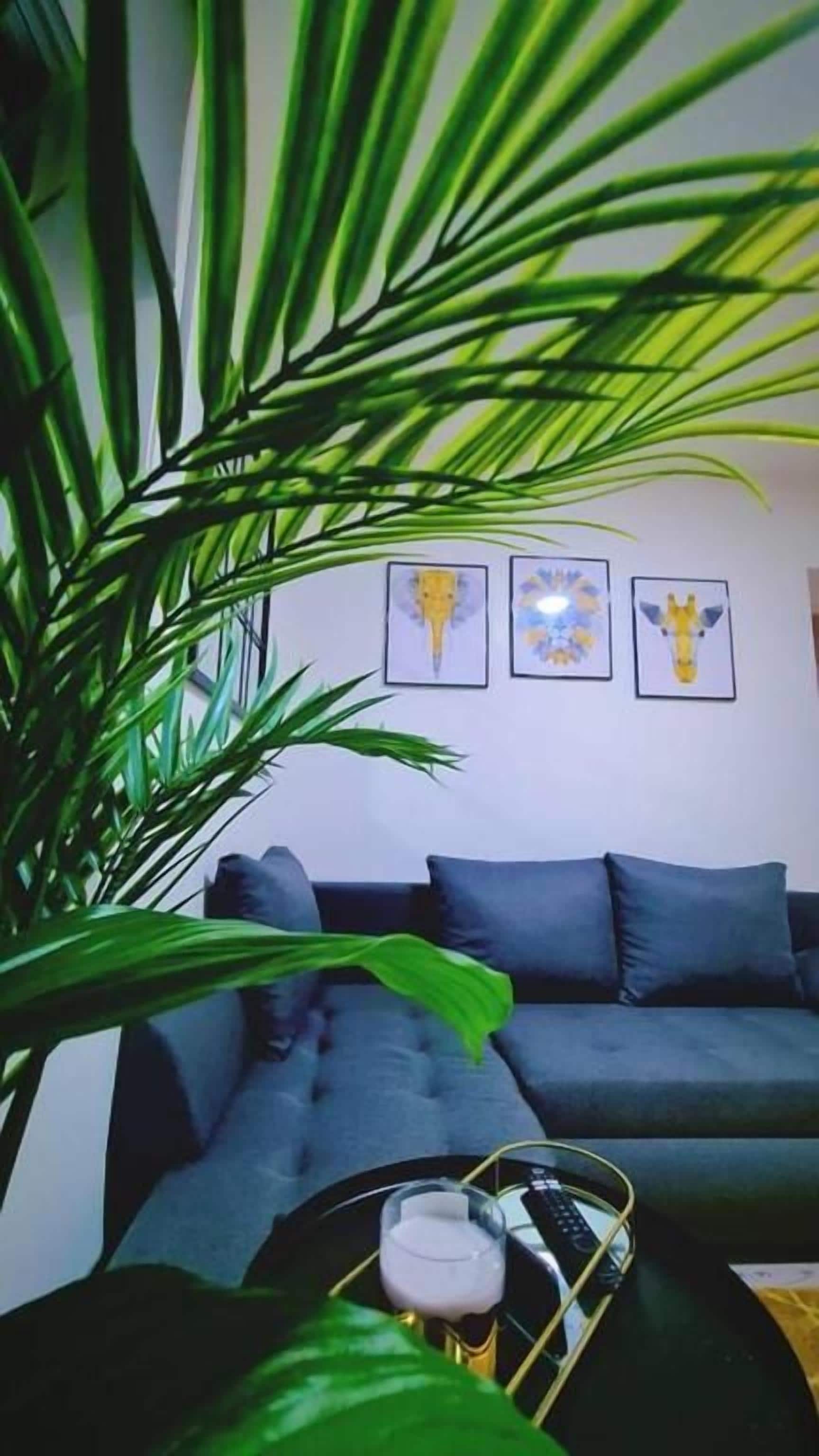 En stue med en mørkegrå sofa, et sofabord med et glas og en fjernbetjening, samt en stor grøn plante.