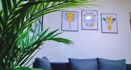 Modern 1 Bedroom flat in City center