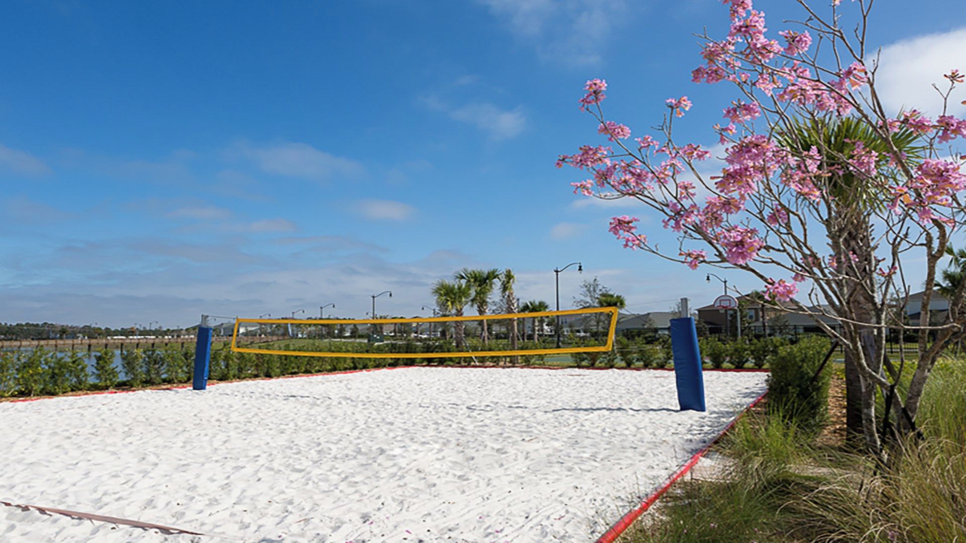 A sandy beach volleyball court with a net, palm trees, and a clear blue sky.