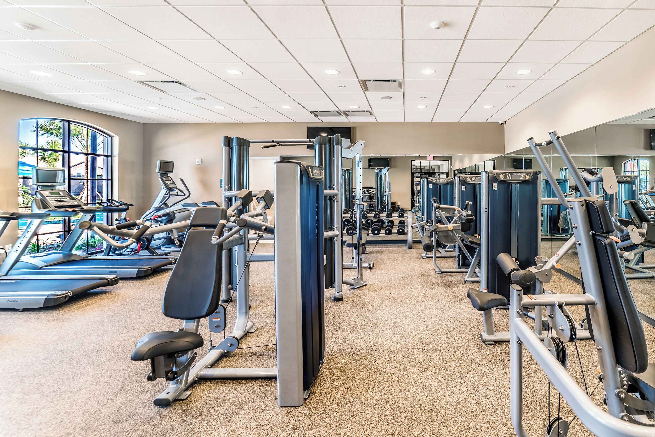 A gym with treadmills, weight machines, and free weights.