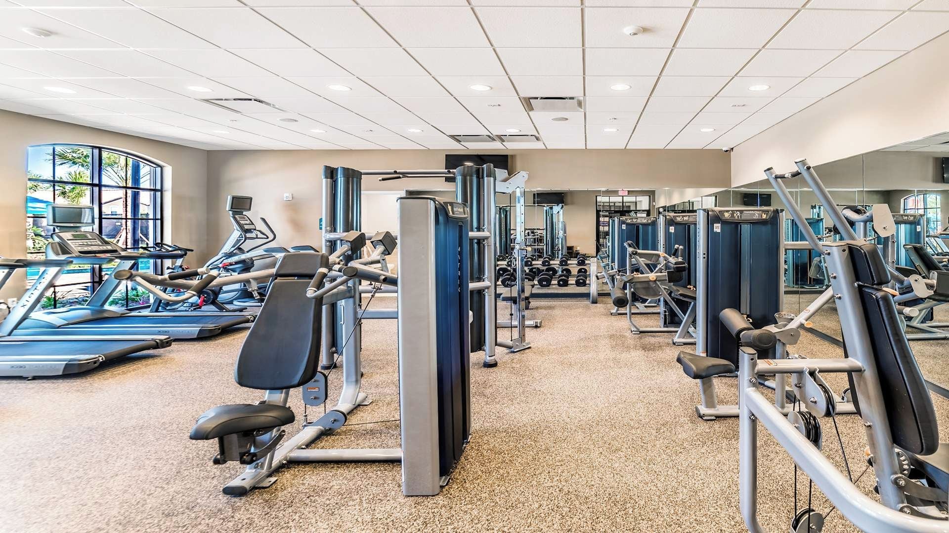 A gym with treadmills, weight machines, and free weights.