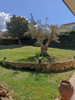 A garden with a stone wall, a tree, and a building in the background. - CASA EN EL MONTSENY CON JARDIN Y PISCINA PARTICULAR (CT)