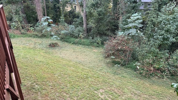 A grassy yard with a wooden chair, surrounded by dense foliage and trees. - Updated 2BR | Private Deck | Near Decatur and EAV (Decatur)