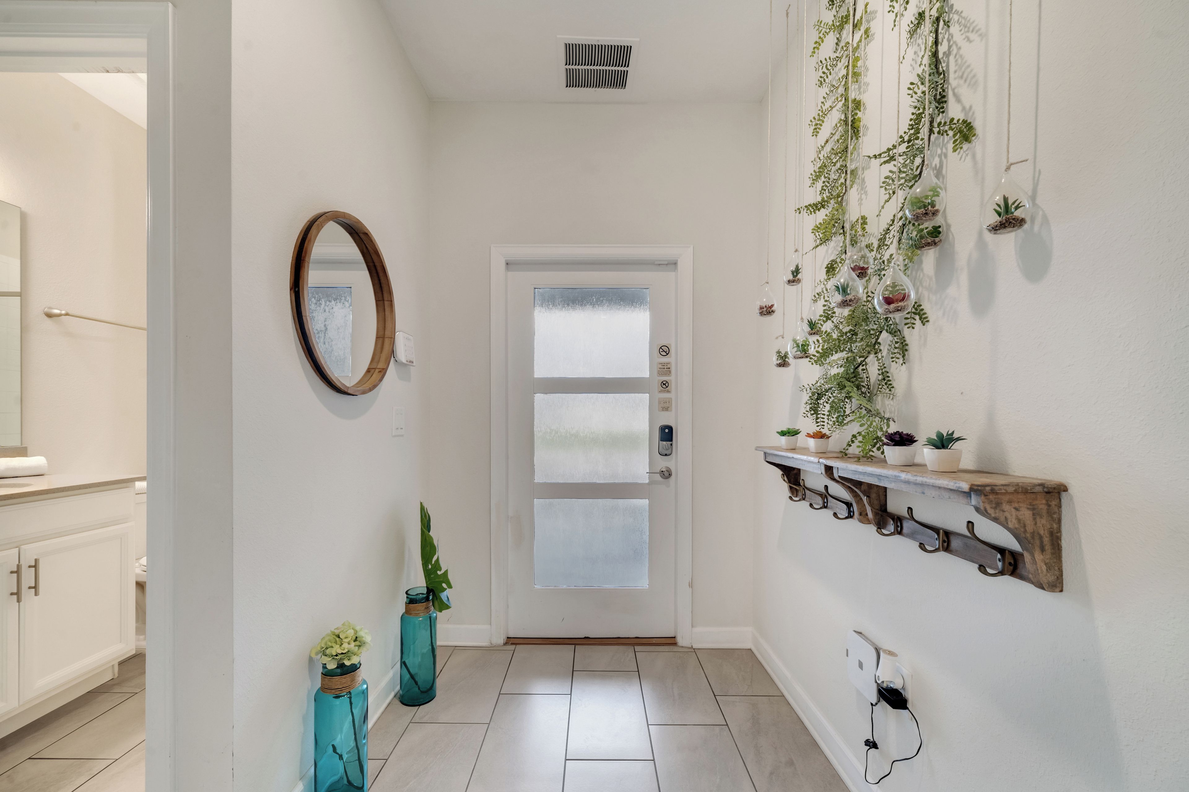 A hallway with a white door, a mirror, a potted plant, and a wall-mounted shelf with small plants.
