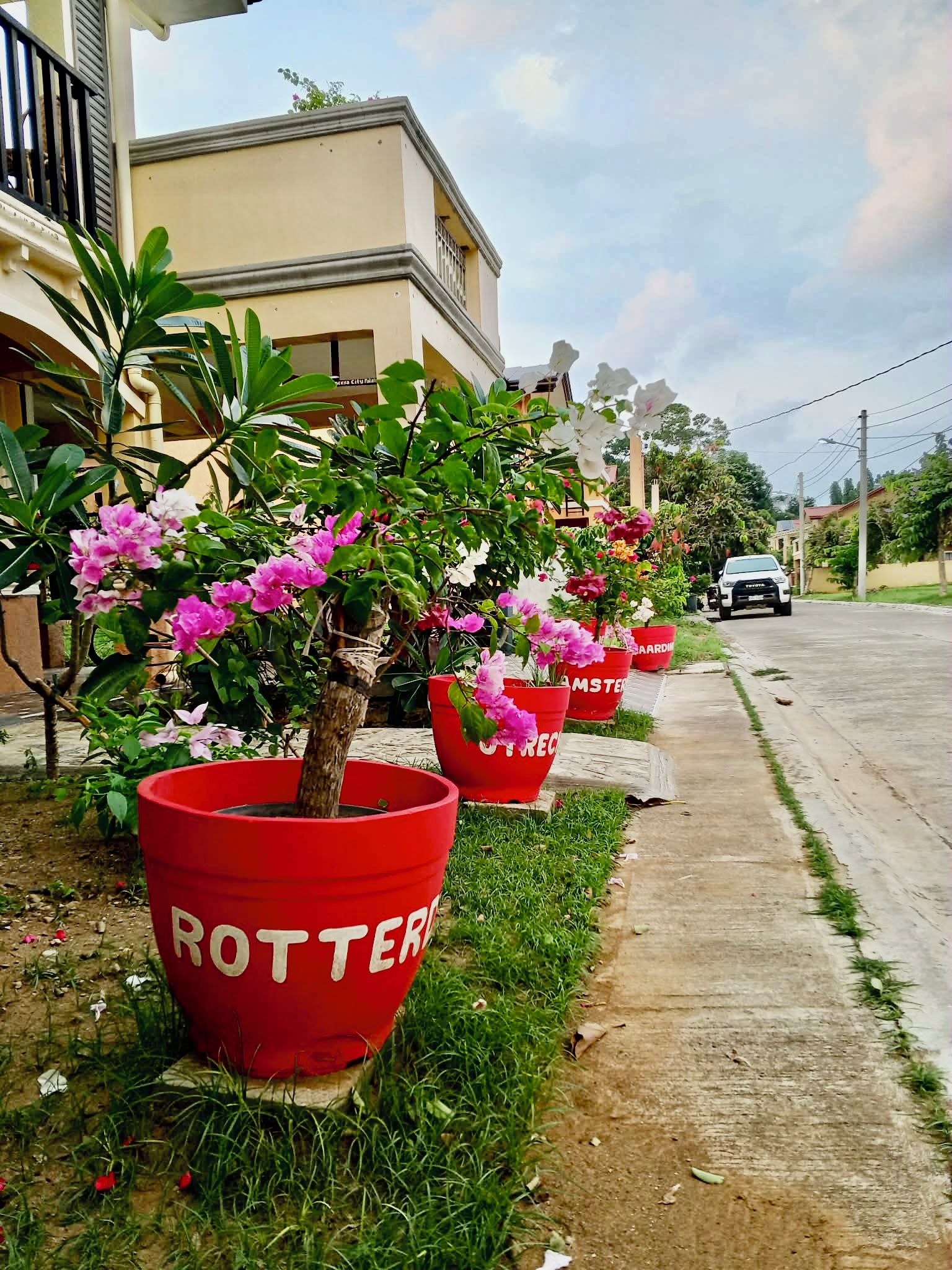 A row of potted plants with red containers labeled 'ROTTER' on a sidewalk.