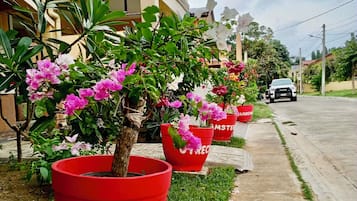 A row of potted plants with red containers labeled 'ROTTER' on a sidewalk.