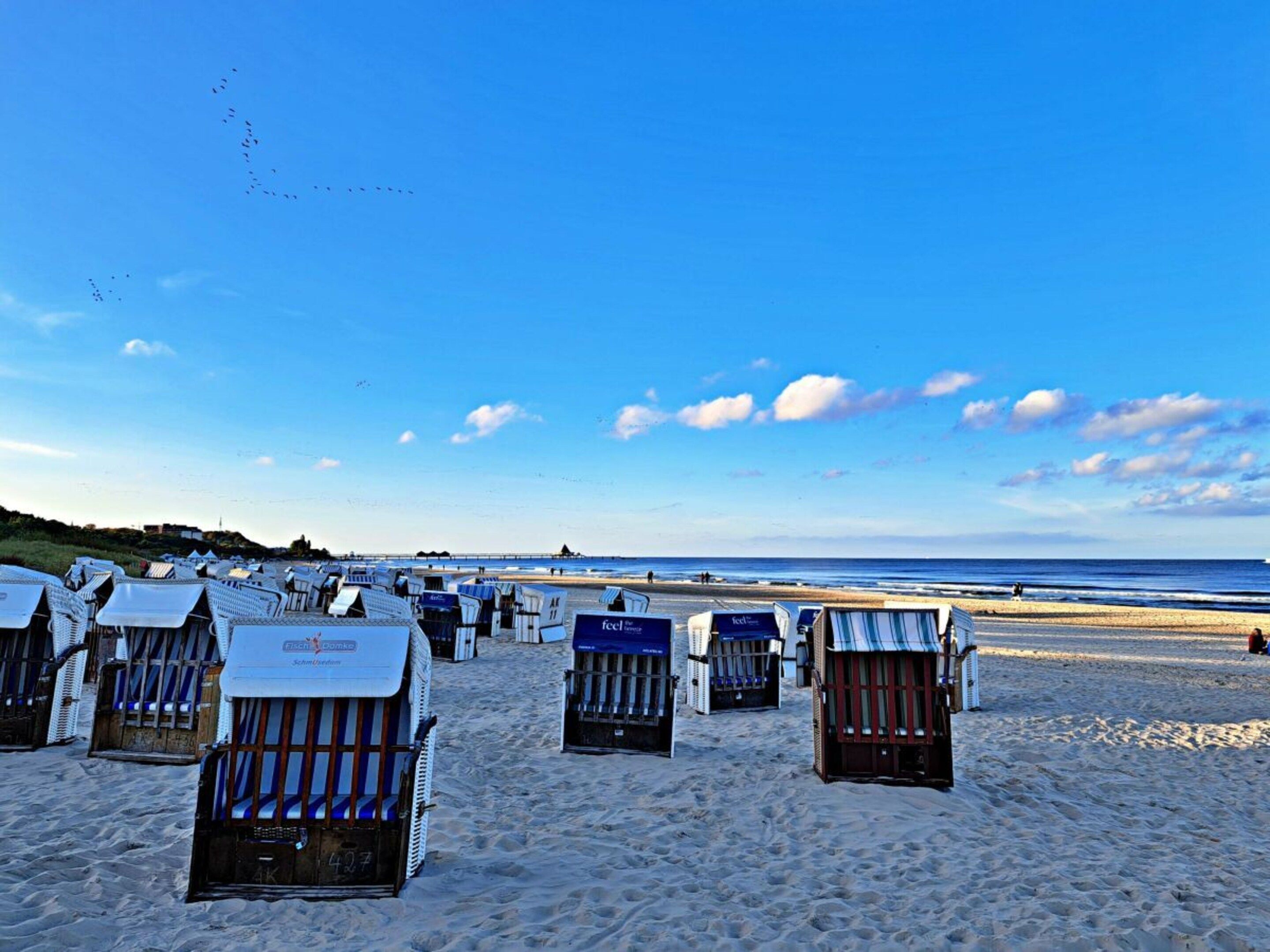 Beachside beach chairs with umbrellas, a sandy beach, and the ocean in the background.