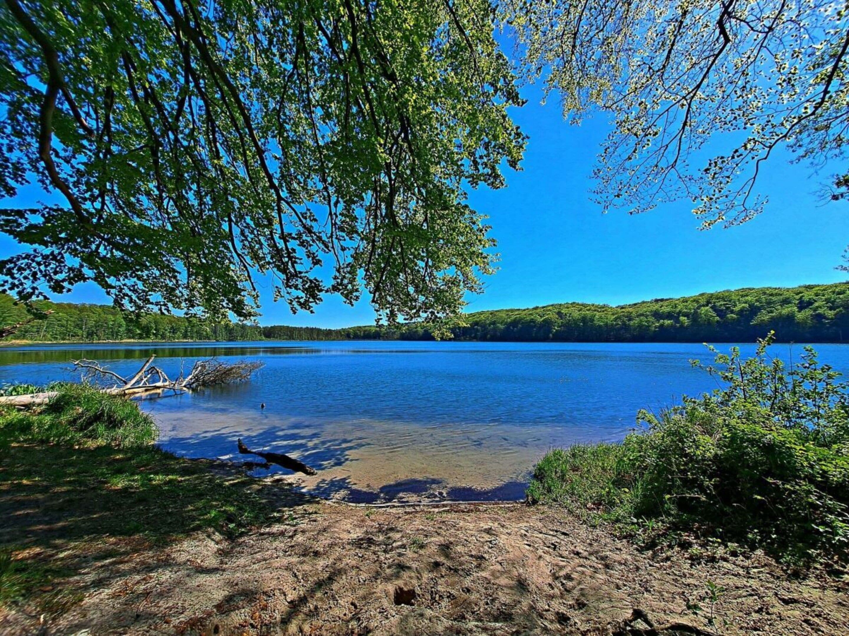 A lake with clear water, surrounded by greenery and trees.