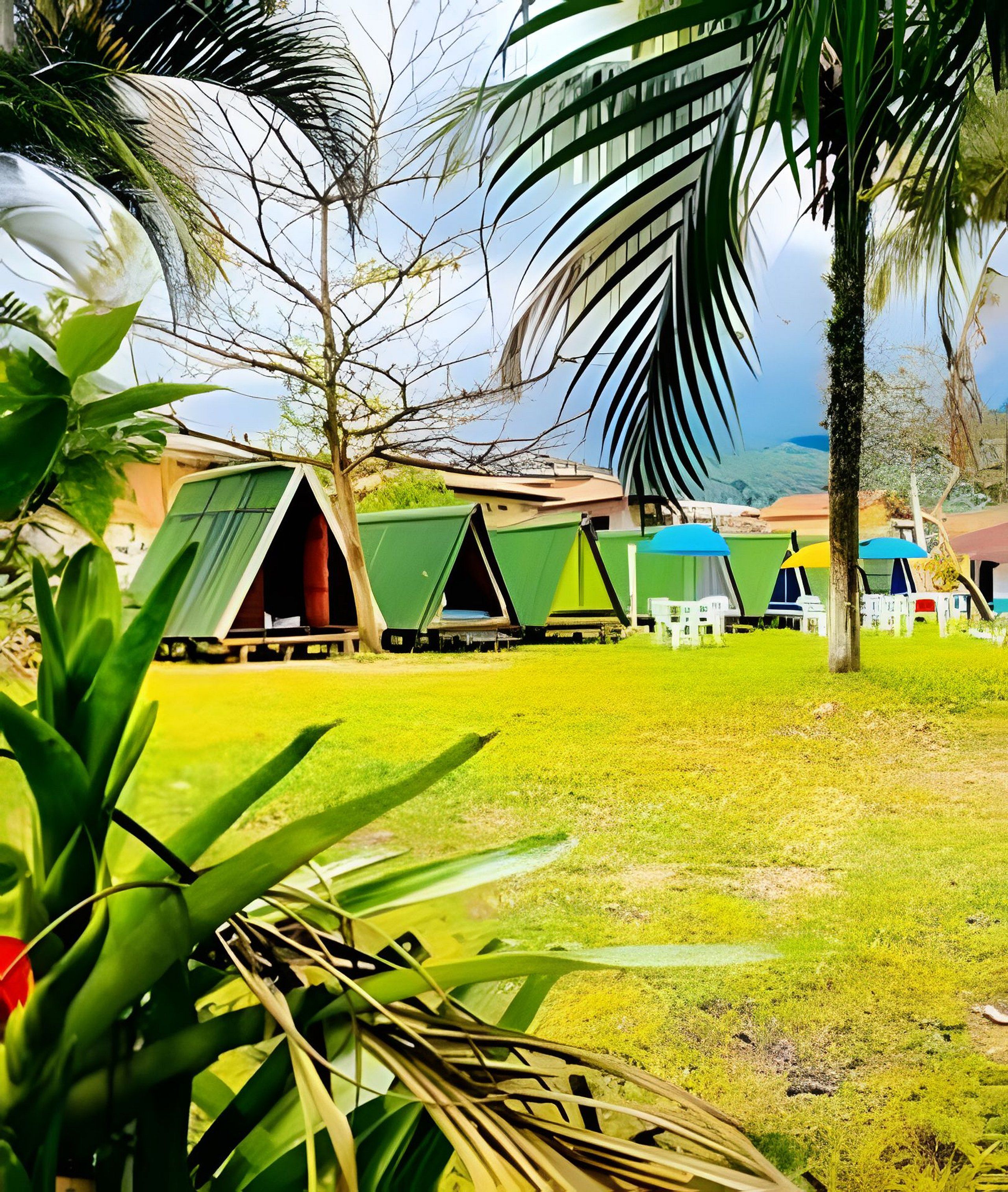 A row of green-roofed cabins with a grassy foreground and palm trees.