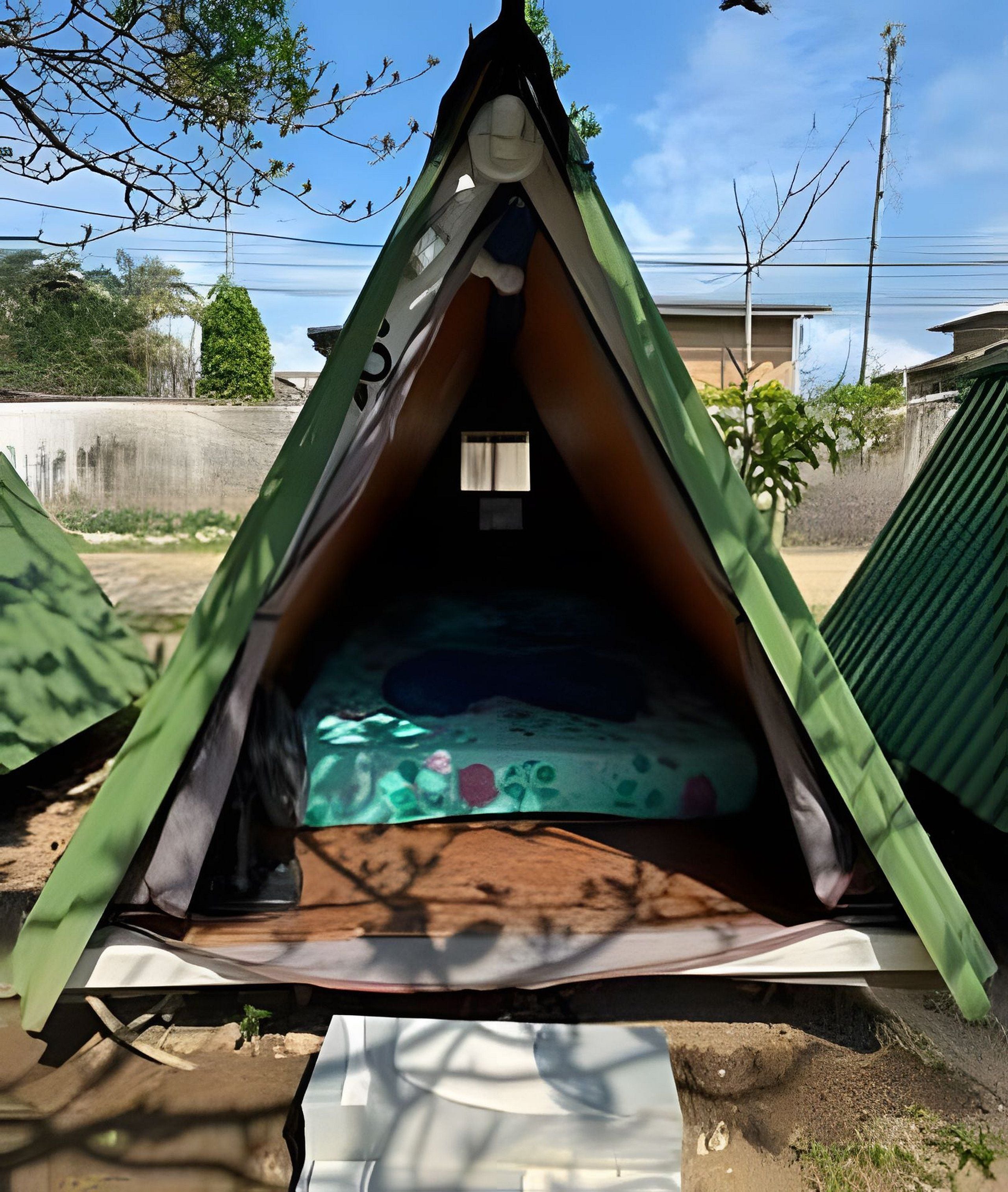 Una tenda petita i triangular amb un llit sol interior, envoltada d'arbres i un cel clar.