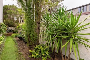 A garden with a variety of plants, a paved path, and a white wall. - Bayside Grove The Heart of St Kildas Coastal Life (Saint Kilda)