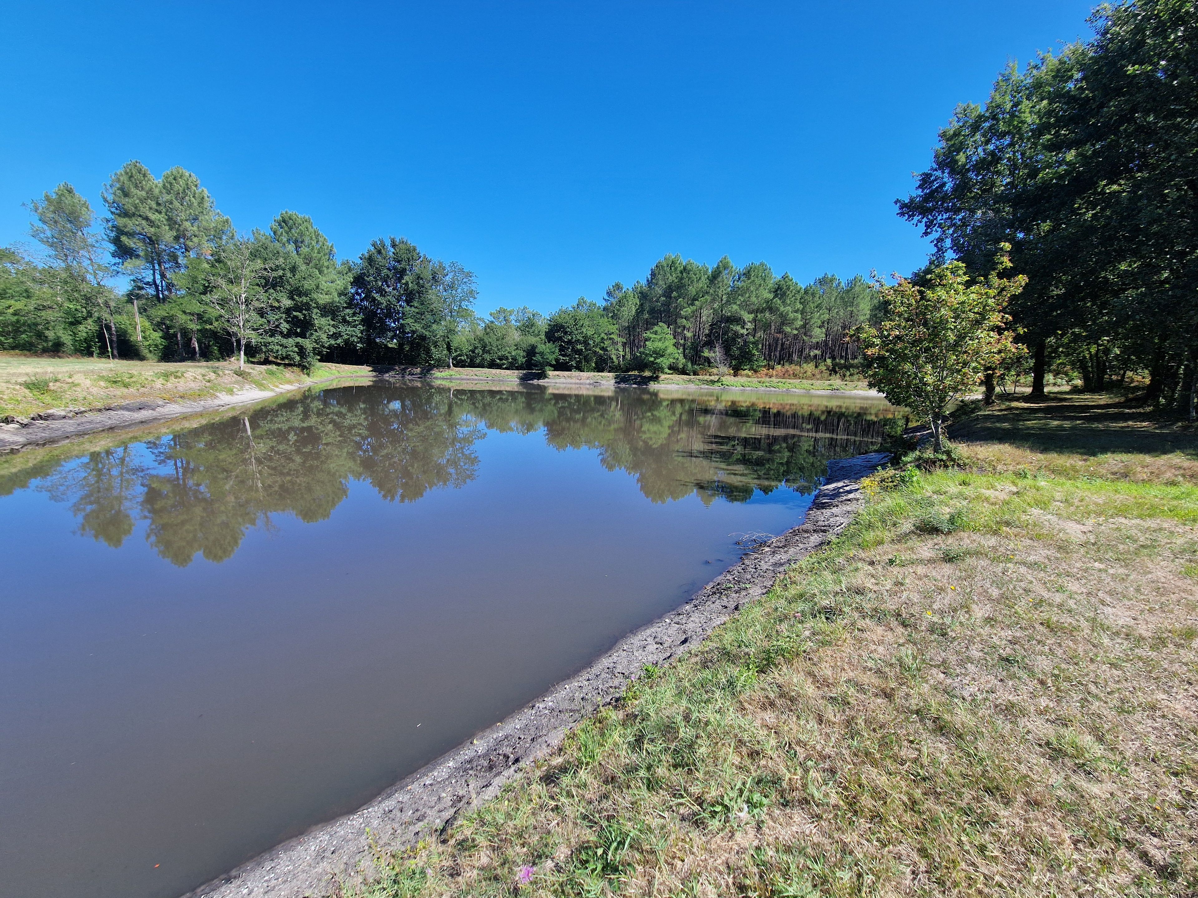 A calm pond surrounded by trees and grassy areas.