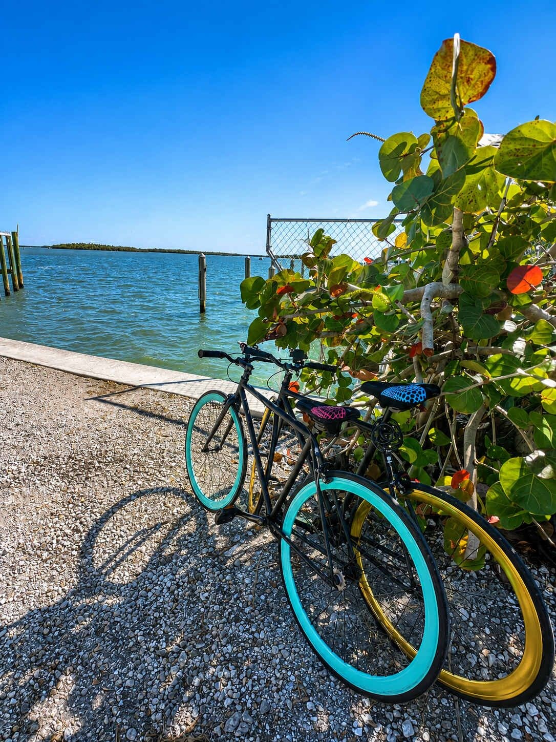 Des vélos sont garés sur un chemin de gravier, avec une étendue d’eau et une clôture en arrière-plan.