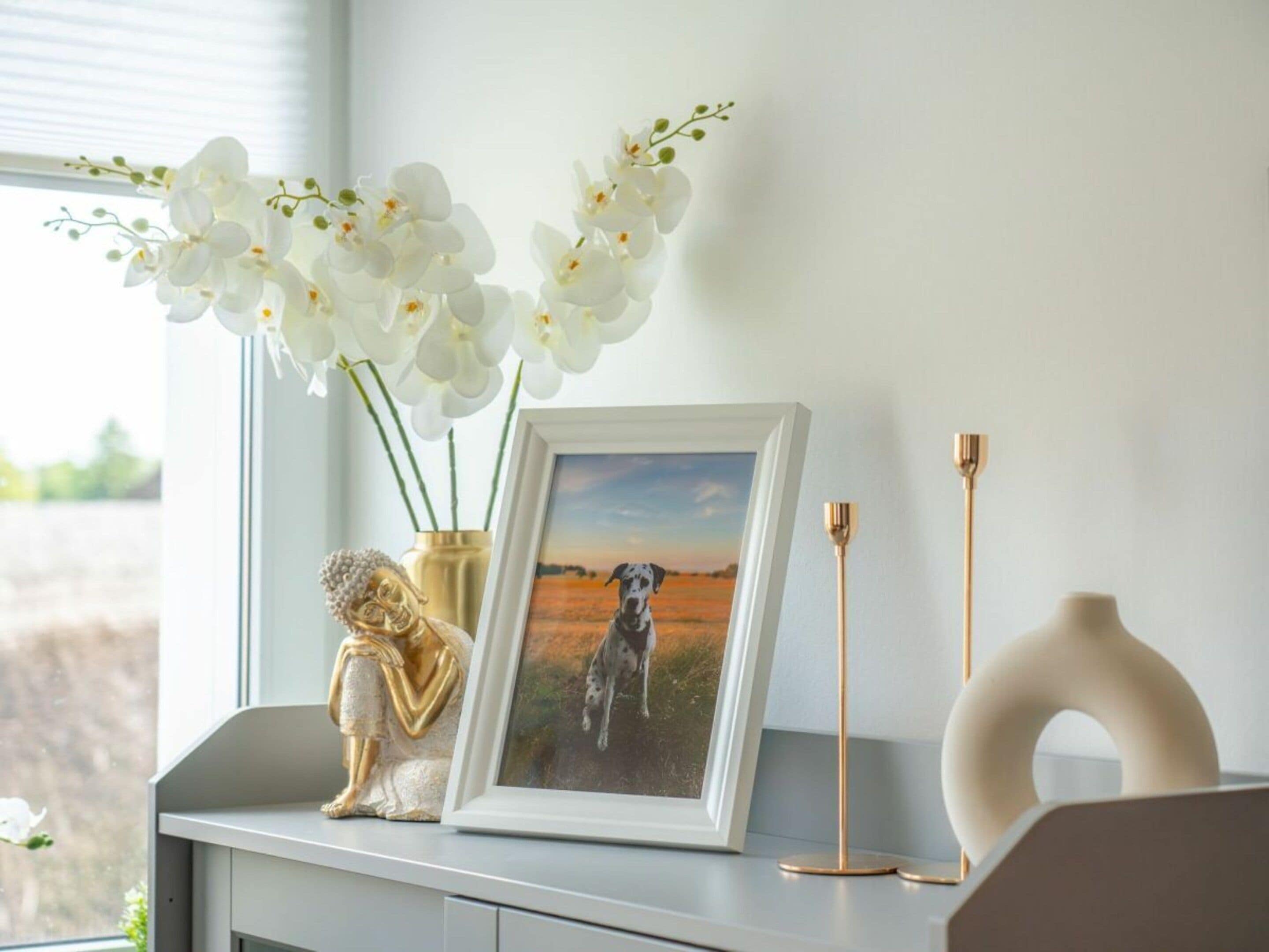 Une photo encadrée représentant un chien, posée sur une étagère, accompagnée d’une statue de Bouddha et de quelques orchidées blanches.