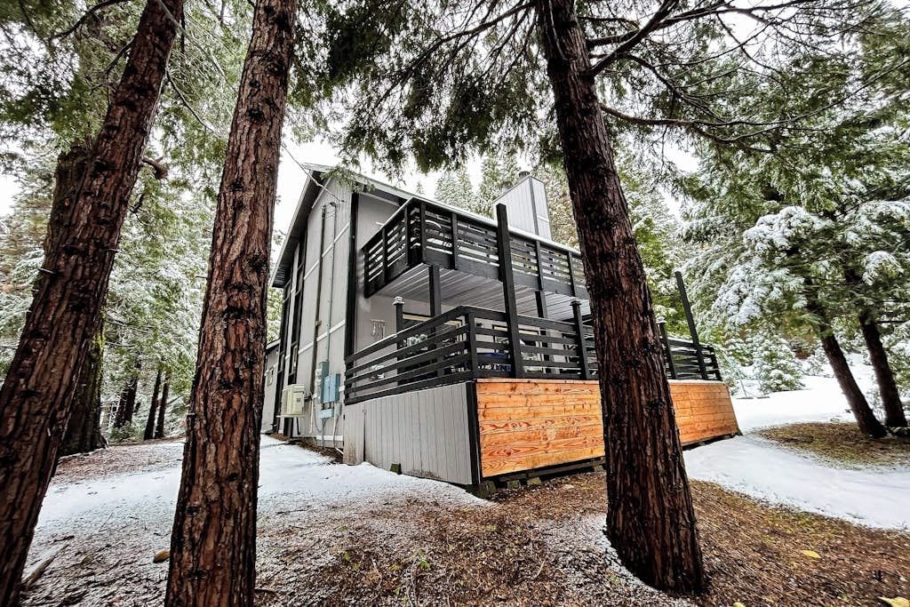 Uma cabana moderna com deck de madeira, rodeada por árvores altas numa área florestada.