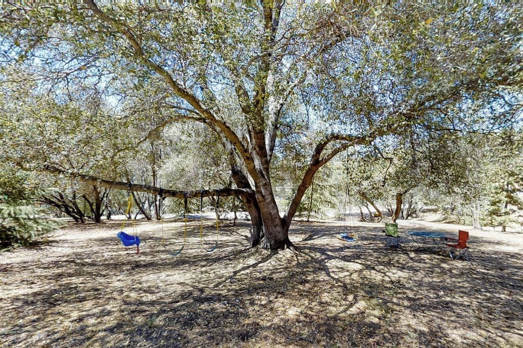 Un árbol con un columpio y una mesa de picnic en un parque.