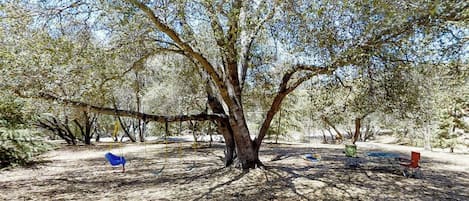 Un árbol con un columpio y una mesa de picnic en un parque.