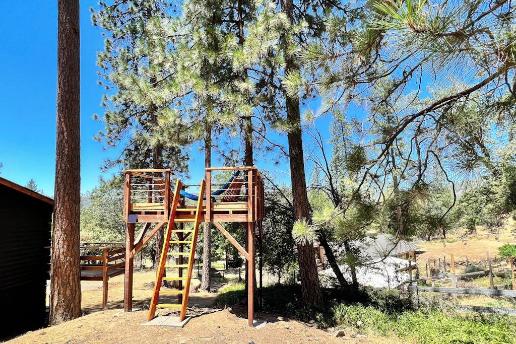 A wooden play structure with a ladder and a swing, surrounded by pine trees and a clear sky.
