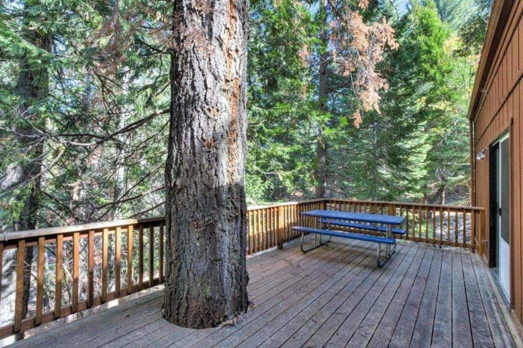 Une terrasse en bois avec un banc, entourée de grands arbres.