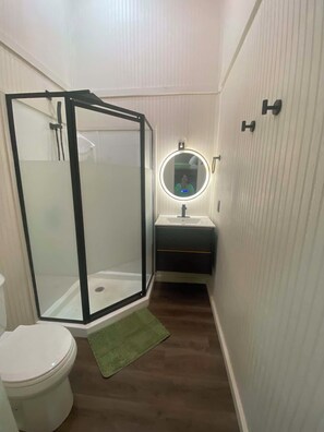 Een badkamer met een douchecabine, een wastafel met spiegel en een toilet.