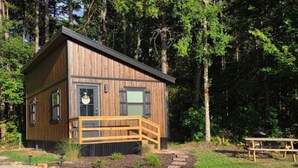A small wooden cabin with a porch and a picnic table in a forested area. - Hummingbird is a Cozy & Quaint 1 bedroom Cabin bordering Ozark National Forest (Dover)